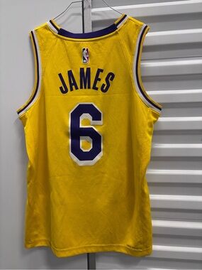 NBA Los Angeles Lakers LeBron James #6 Yellow and Purple Jersey